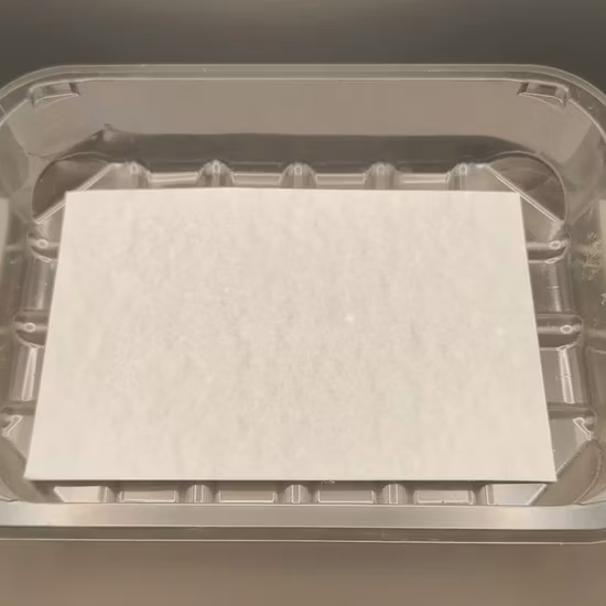 Almohadilla absorbente desechable para frutas y mariscos